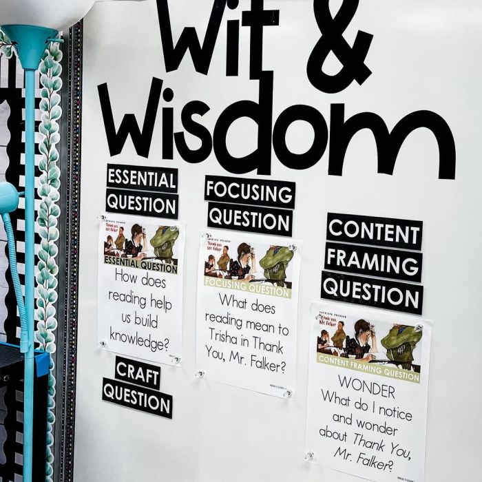 Wit and wisdom module 0