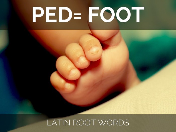 Words with the root word ped