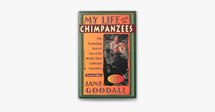 Chimpanzees