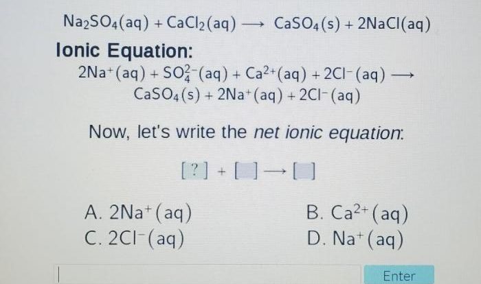 Aq cacl2 caso4 chegg 2nacl tonic