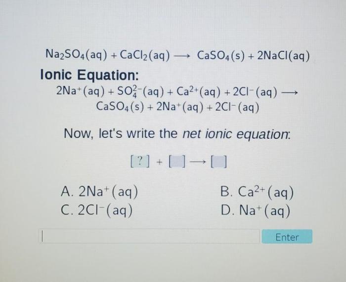 Aq cacl2 caso4 chegg 2nacl tonic