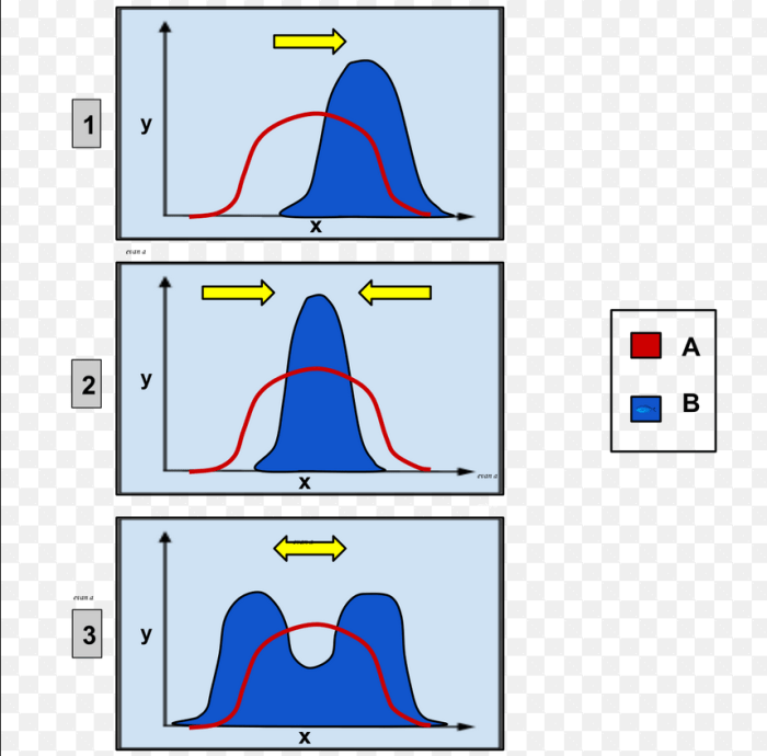 Wlhs biology unit 7 evolution