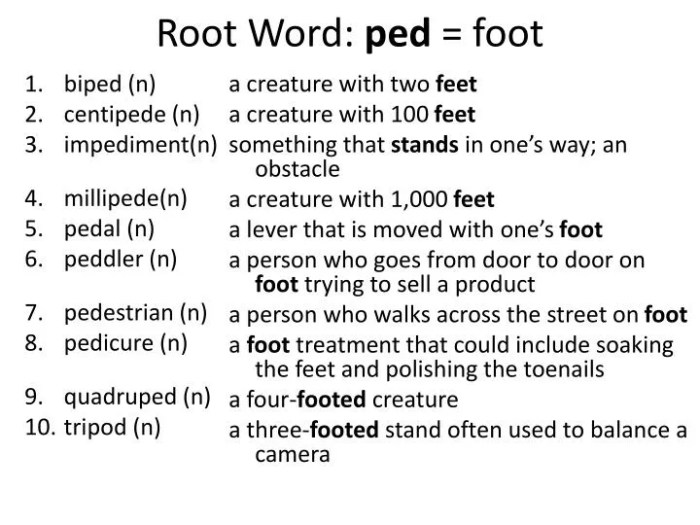 Words with the root word ped