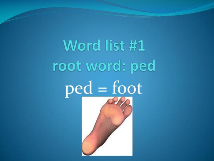 Root word presentation sect