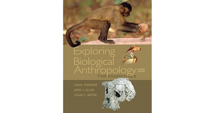 Essentials of biological anthropology 5th edition