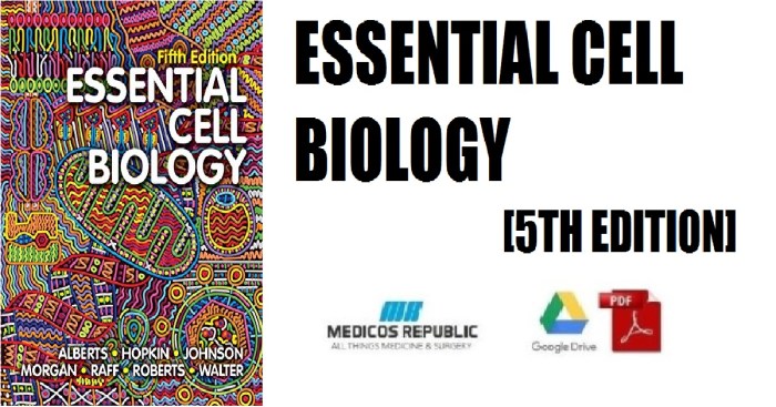 Essentials of biological anthropology 5th edition